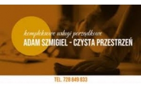 Adam Szmigiel - Czysta Przestrzeń